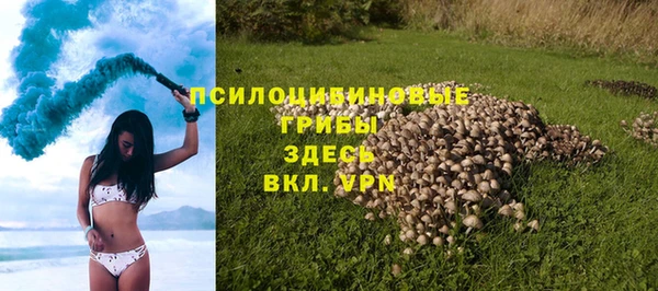 эйфоретик Зерноград
