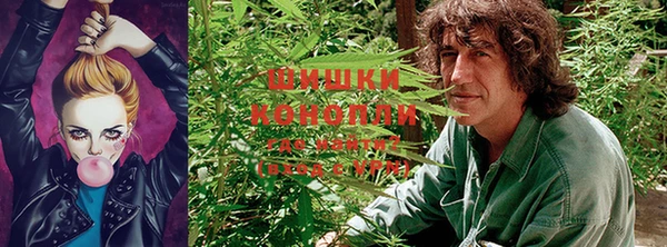 эйфоретик Зерноград