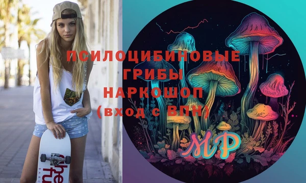 эйфоретик Зерноград