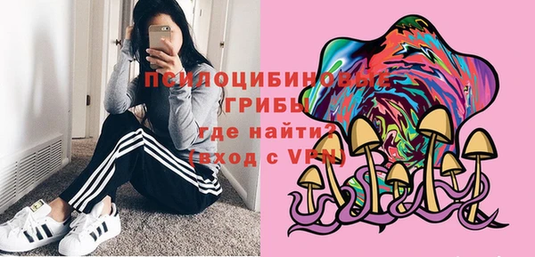 эйфоретик Зерноград