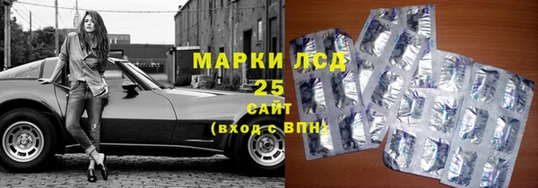 СК Михайловск