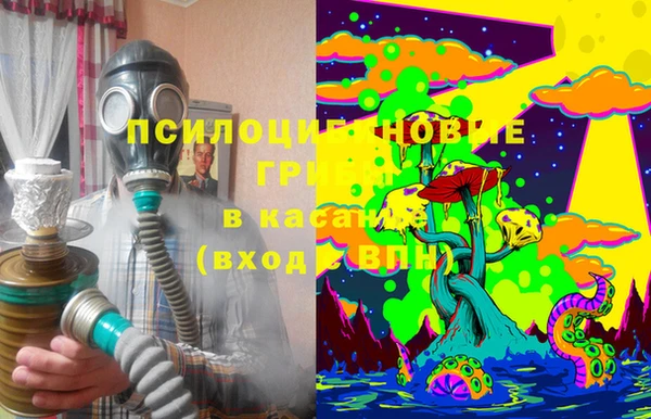 эйфоретик Зерноград